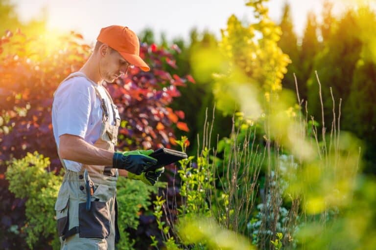 Lawn care technician using tablet in the field